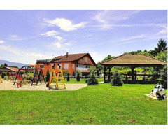 Ribić